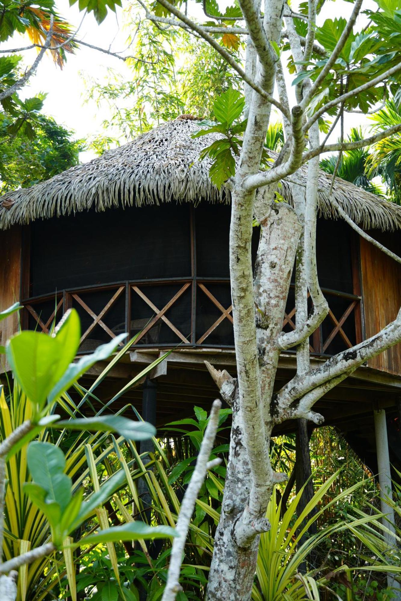 Huma Terra Lodges Hikkaduwa Exterior photo