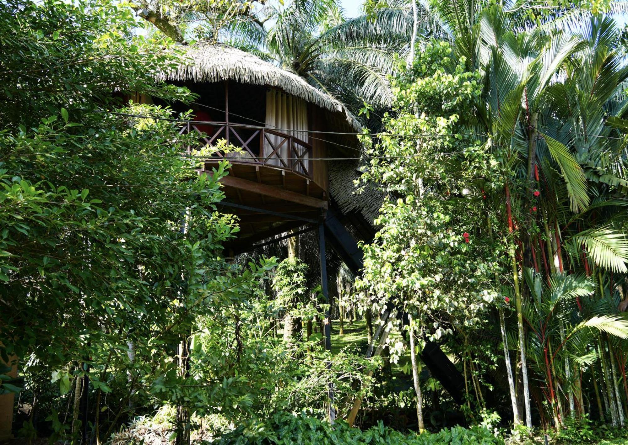 Huma Terra Lodges Hikkaduwa Exterior photo