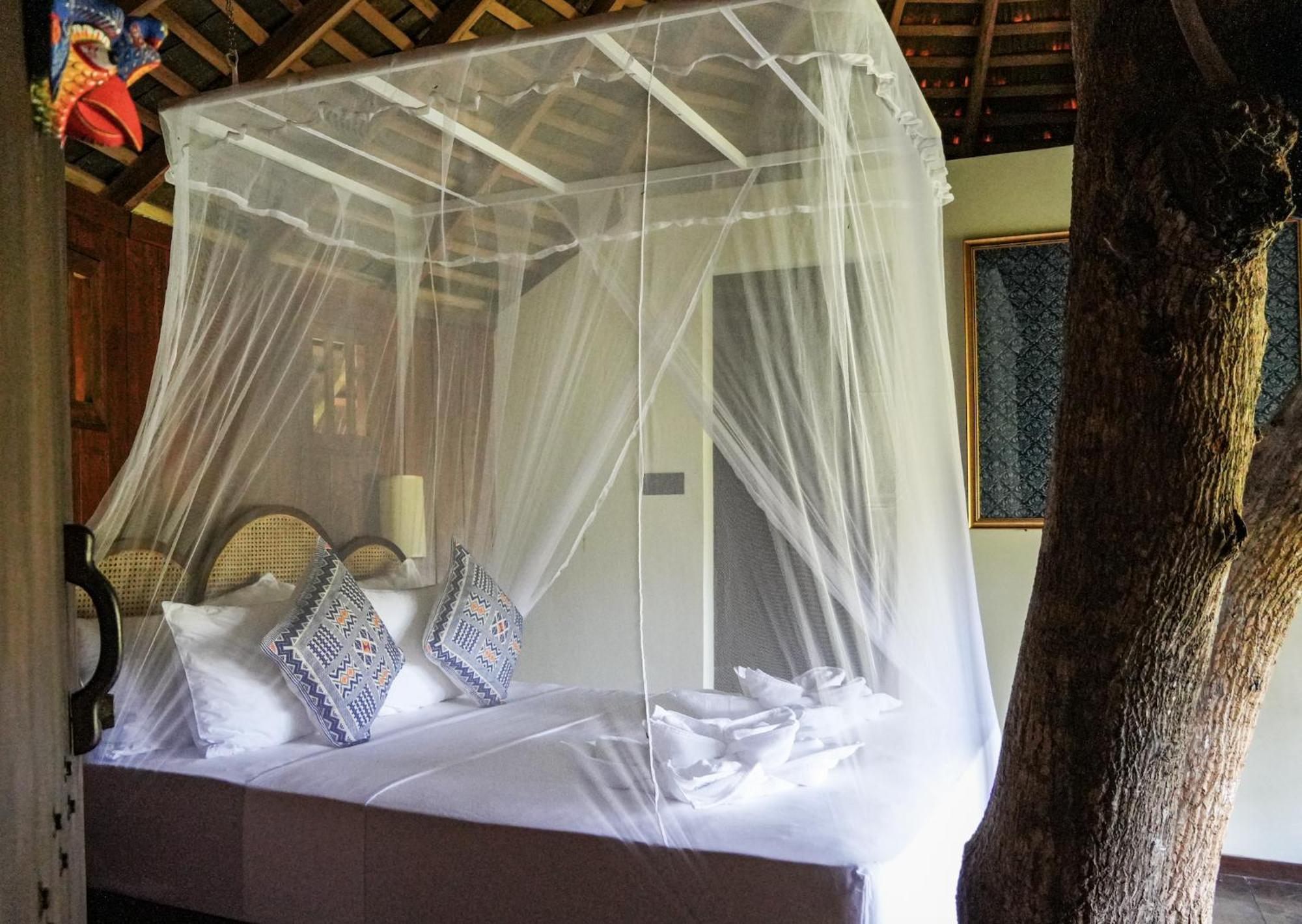 Huma Terra Lodges Hikkaduwa Exterior photo